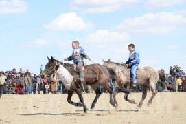 Түрүү Даваажавын хээр соёолон, Аман хүзүүнд хурдалсан аймгийн Алдарт уяач П.Ганболдын буурал соёолон