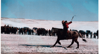 Аймгийн Алдарт уяач Ж.Бумцэнд: Төвийн бүсэд айрагдсан буурал морь маань намайг Алдарт болгосон