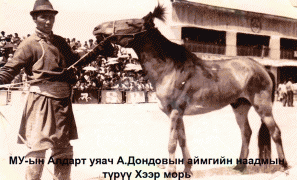 Аймгийн наадмын түрүү МУ-ын Алдарт уяач А.Дондовын хээр морь