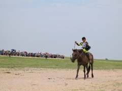 Соён гэгээрүүлэгч говийн V ноён хутагт Данзанравжаагийн мэлмий гийсний 215 жилийн ой, говийн бүсийн уралдаанд эхний 10-т хурдалсан хурдан их насны морьд