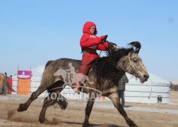 Т.Болдбаатарын халиун