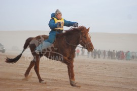 Энхбатын сартай хонгор