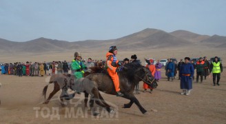 Бат-Оргилын саарал,Д.Ариуннарангийн “Оодон хүрэн барианд орж буй нь