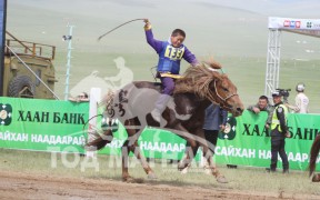 Аймгийн Алдарт уяач Ц.Мөнххуяг: Эцэг шигээ хурдан адуу болоосой хэмээн бэлгэдэж, азаргаа Янзага хэмээн нэрийдсэн