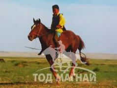 Айргийн тав-Содномцогийн хүрэн халзан