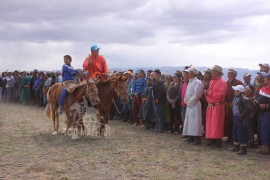 МУ-ын Сайн малчин С.Гомбын мялаалга наадам өргөн боллоо