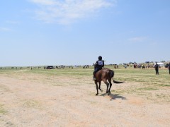 Говийн бүсийн уралдааны эрлийз дунд ангилалд эхний 10-т хурдалсан хурдан хүлгүүд