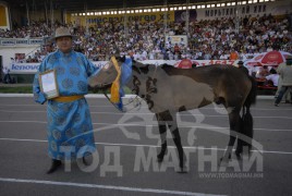 ЗАРААГИЙН ГАШУУНЫ УНАГАН ХҮҮ ЗАСАГ ТӨРИЙН ЗАНДАН ШИРЭЭН ЭЗЭН