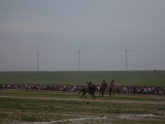 Соён гэгээрүүлэгч говийн V ноён хутагт Данзанравжаагийн мэлмий гийсний 215 жилийн ой, говийн бүсийн уралдаанд эхний 10-т хурдалсан хурдан соёолонгууд