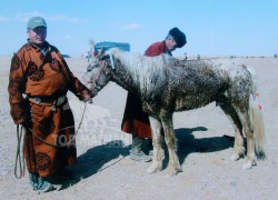 Аймгийн Алдарт уяач Д.Оохойбуд: Энэ цагт адууг тэжээл, тариагаар хүчилж уралдуулаад хөлийг нь аваад байна