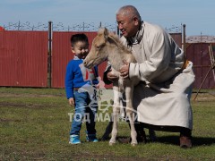 “Эрдэнэт хүлэг” МСУХ-ны тэргүүнД.Даваасамбуу: Уралдаанч хүүхдийн хамгаалах хэрэгслийг хэрэглүүлж хэвшүүлэхэд л их анхаарч байна даа