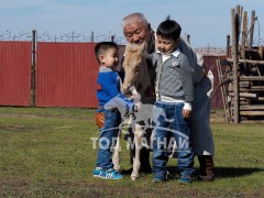 “Эрдэнэт хүлэг” МСУХ-ны тэргүүнД.Даваасамбуу: Уралдаанч хүүхдийн хамгаалах хэрэгслийг хэрэглүүлж хэвшүүлэхэд л их анхаарч байна даа