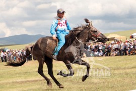 З.Ганбаатар: Уяачдын эгнээ тэлж байгаа нь морин спорт хөгжих сайхан боломж юм