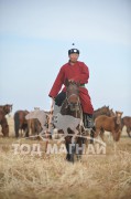 МУ-ын Алдарт уяач Д.Энхсүх: Маа угшлын адуу Хэнтий аймгийн хойд талын долоон сум, цаашлаад Монгол улсын 16 аймагт тархан хурдалж байна