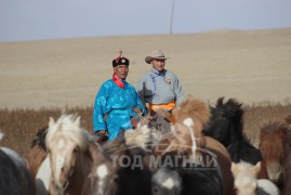 Уяач Б.Батмөнх: Аймгийн Алдартын хоёр даагаар уяа эхлүүлж байлаа