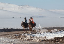 Дагвадоржийн Цэрэнжигмэдийн зээрд, Намчинцэрэнгийн Даш-Өлзийн зээрд