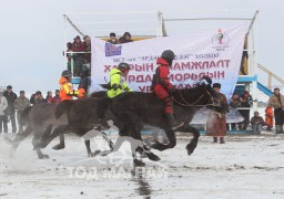 н.Дэндэвдоржийн хар, Д.Баясгалагийн хүрэн, Д.Отгонбулганы хээр