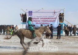 Х.Баттулгын бор