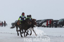 Эрдэнийн халиун, Н.Отгонбаярын хүрэн халзан