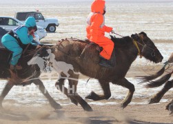  С.Батжаргалын Дархан хул 