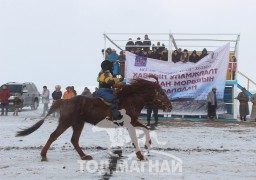 Д.Баасанжаргалын хүрэн