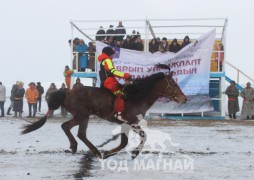 н.Насанжаргалын хээр