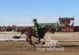 А.Амарбатын хээр