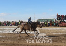 Д.Мөнхчулууны сартай саарал