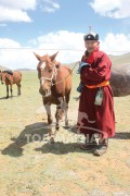 Аймгийн Алдарт уяач Р.Балжир: Муухан тэжээснээс эрт ногоонд гаргачихвал тамир суух нь илүү