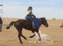 Д.Амарбатын сартай хар