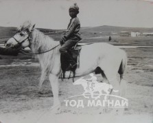 10 медальтай 17 настай цагаан саарал морь 1995 онд сумын наадмын аман хүзүү