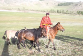 Аймгийн Алдарт уяач П.Гэрэлболд: Миний морьд тэжээлгүй ч уралдсан болгондоо айрагддаг