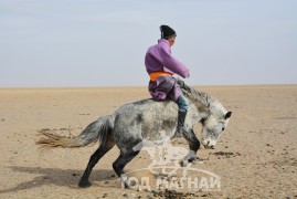 Аймгийн Алдарт уяач Б.Батхүү: Нутаг адууныхаа хурдыг таниулж чадлаа гэж өөрөөрөө бахархсан