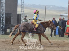 Ес - Д.Уламбаярын зээрд