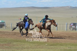 Айргийн гурав, дөрөв - Ж.Мөнхтөрийн хонгор халзан, Амгаланбаатарын халтар