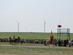 Соён гэгээрүүлэгч говийн V ноён хутагт Данзанравжаагийн мэлмий гийсний 215 жилийн ой, говийн бүсийн уралдаанд эхний 10-т хурдалсан хурдан азарганууд