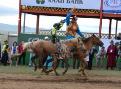 Айргийн гурав-Нэргүйн Батжаргал шарга