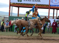 Айргийн гурав-Нэргүйн Батжаргал шарга