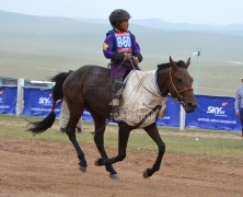 Ес-Д.Амгаланбаатарын халтар