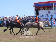 10,11-С.Чулуунхүүгийн буурал, А.Жавхланцогзолын хар