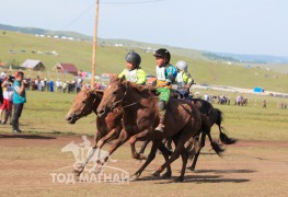 20,21-Б.Отгонбаатарын хонгор, Ц.Батсайханы цавьдар