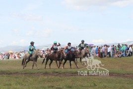 30-Т.Галбадрахын халзан, 31-Ц.Энхбаярын сартай хүрэн, 32-В.Төмөрбаатарын буурал, 33