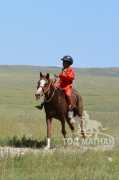 Долоо-Шинэбаатарын зээрд халзан