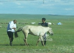 Жаргалант хүлэг” МСУХ-ны тэргүүн Д.Цолмон: Манай нутагт морины сүүл боодоггүй эр хүн гэж байхгүй