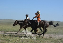 13-Б.Даваадоржийн хээр, 14-Т.Даваацэрэнгийн алаг