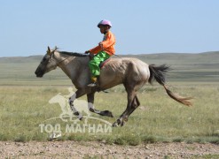 Долоо-А.Цэцэнбандийн бор