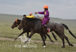 17-Н.Батбаярын хүрэн, 18-О.Бат-Эрдэнийн буурал