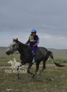 Айргийн гурав-Д.Очирсүрэнгийн бор