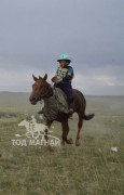 Айргийн тав-Ц.Гантөмөрийн зээрд