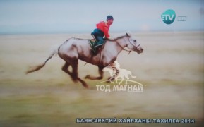 2014 онд Баянбадрал багт болсон аймгийн Сайн малчин Мөнхбаатарын мялаалга наадамд цагаан будан морь түрүүлсэн